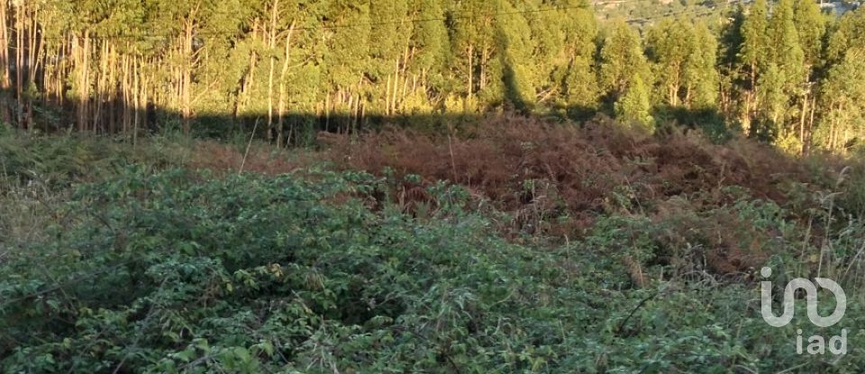 Terreno em Rio de Moinhos de 7 600 m²