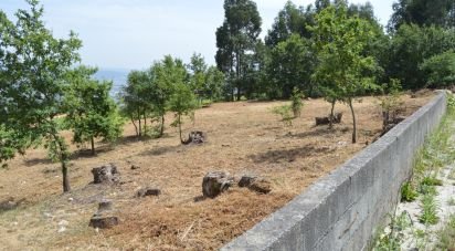 Terreno em Rio de Moinhos de 1 002 m²