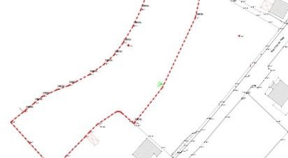 Terreno em Santo isidoro e livração de 4 200 m²