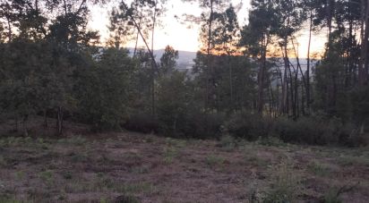 Terreno em Santo isidoro e livração de 4 200 m²