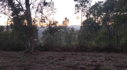 Terreno em Santo isidoro e livração de 4 200 m²