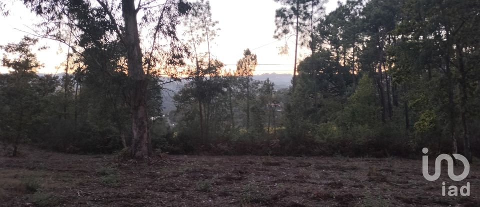 Terreno em Santo isidoro e livração de 4 200 m²