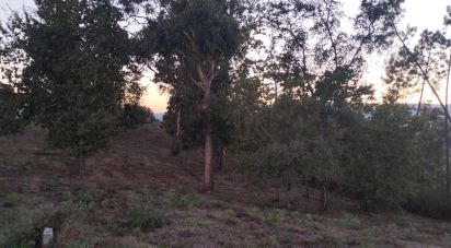 Terreno em Santo isidoro e livração de 4 200 m²