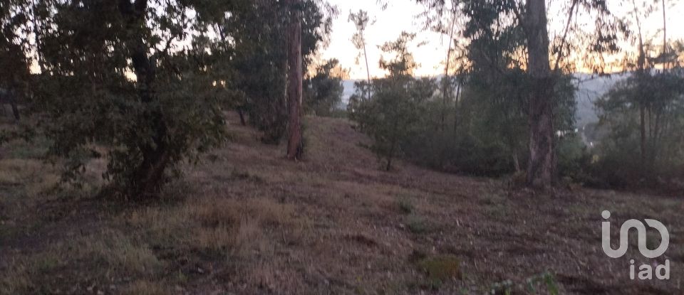 Terreno em Santo isidoro e livração de 4 200 m²