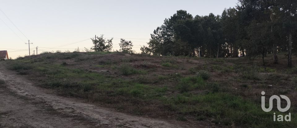 Terreno em Santo isidoro e livração de 4 200 m²