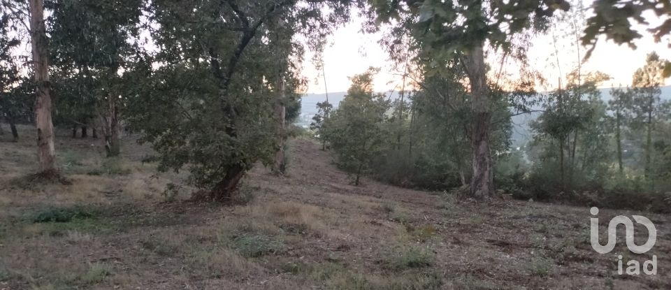 Terreno em Santo isidoro e livração de 4 200 m²