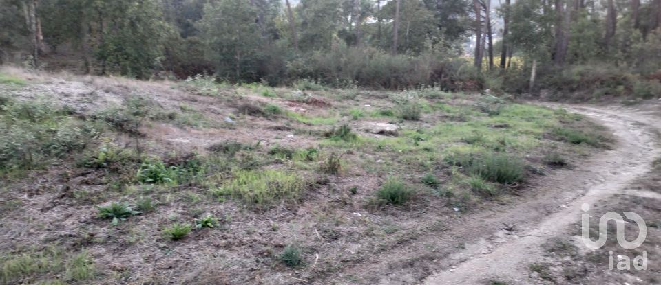 Terreno em Santo isidoro e livração de 4 200 m²