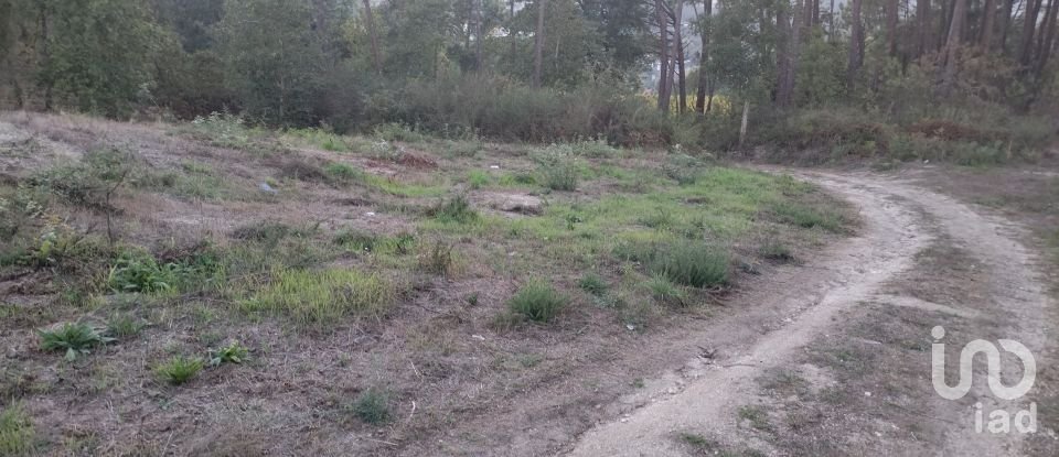 Terreno em Santo isidoro e livração de 4 200 m²