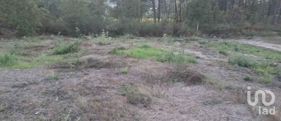 Terreno em Santo isidoro e livração de 4 200 m²