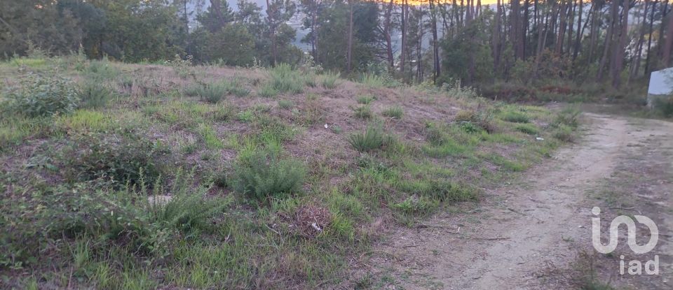 Terreno em Santo isidoro e livração de 4 200 m²