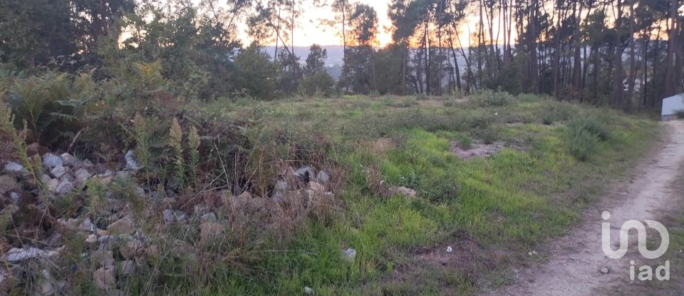 Terreno em Santo isidoro e livração de 4 200 m²