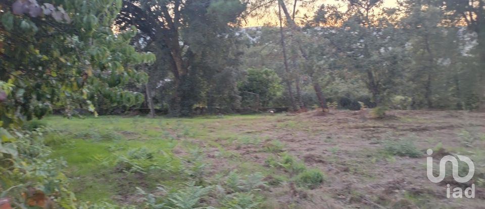 Terreno em Santo isidoro e livração de 4 200 m²