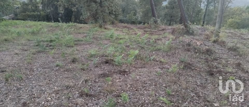 Terreno em Santo isidoro e livração de 4 200 m²