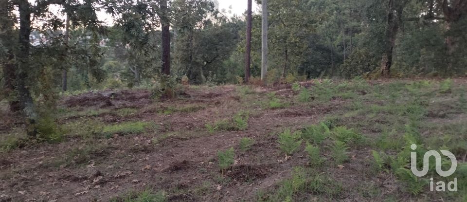 Terreno em Santo isidoro e livração de 4 200 m²