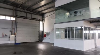 Loja / Estabelecimento Comercial em Gondar de 3 099 m²