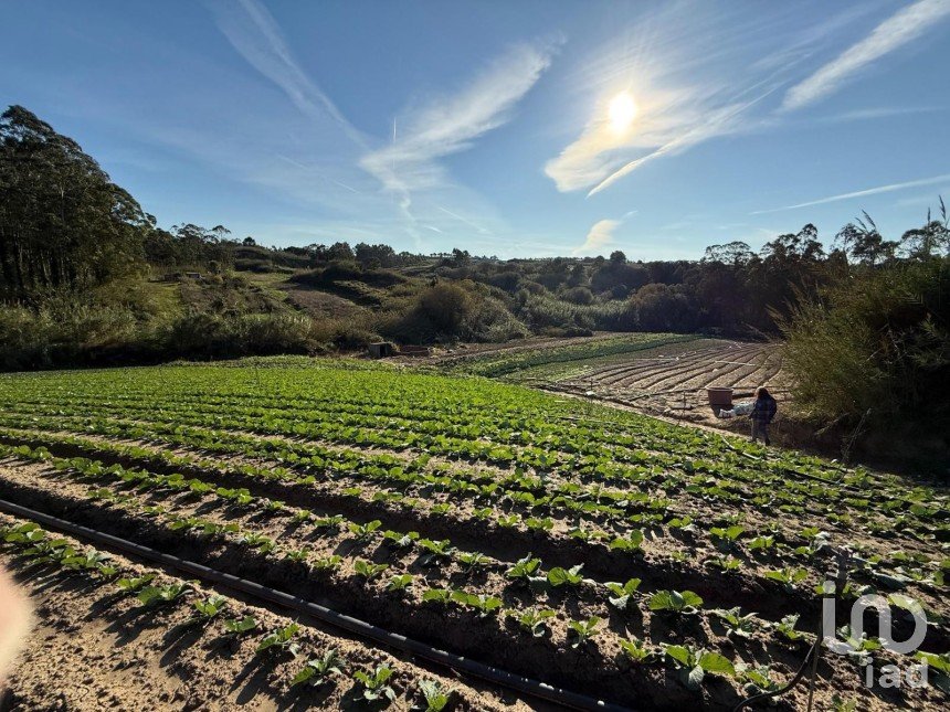 Terreno Agrícola em Atouguia da Baleia de 10 840 m²