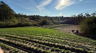 Terreno Agrícola em Atouguia da Baleia de 10 840 m²