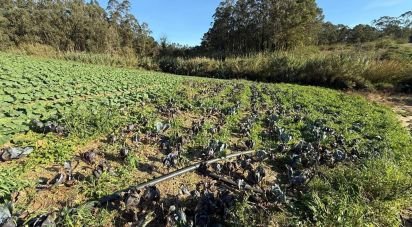 Terreno Agrícola em Atouguia da Baleia de 10 840 m²