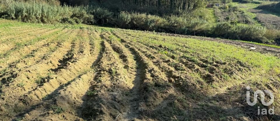 Terreno Agrícola em Atouguia da Baleia de 10 840 m²