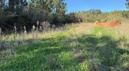 Terreno Agrícola em Atouguia da Baleia de 10 840 m²