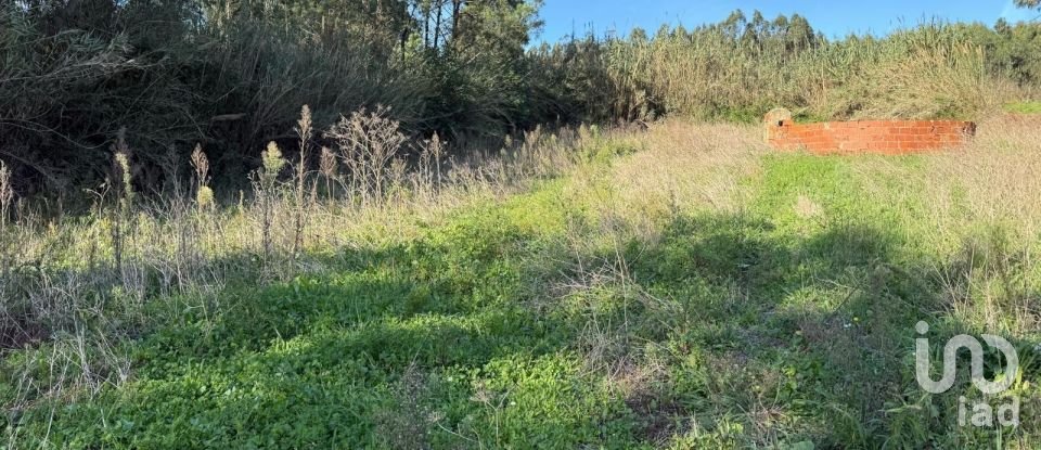 Terreno Agrícola em Atouguia da Baleia de 10 840 m²