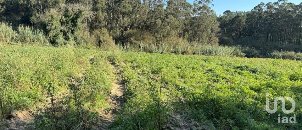 Terreno Agrícola em Atouguia da Baleia de 10 840 m²