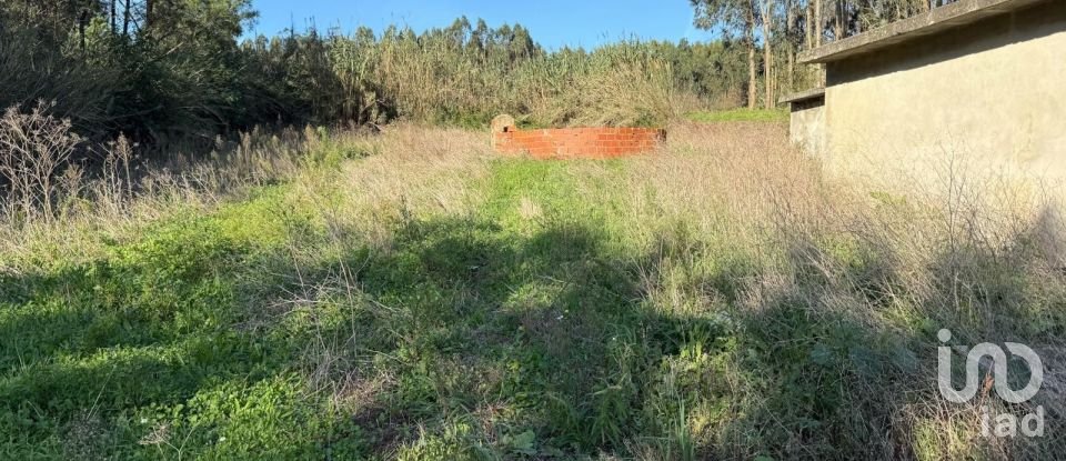 Terreno Agrícola em Atouguia da Baleia de 10 840 m²