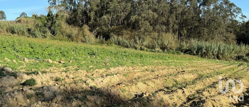 Terreno Agrícola em Atouguia da Baleia de 10 840 m²