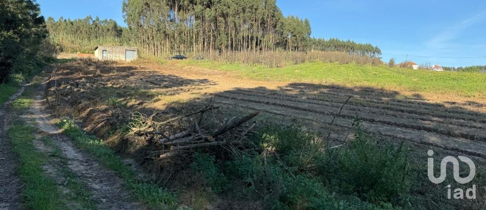 Terreno Agrícola em Atouguia da Baleia de 10 840 m²