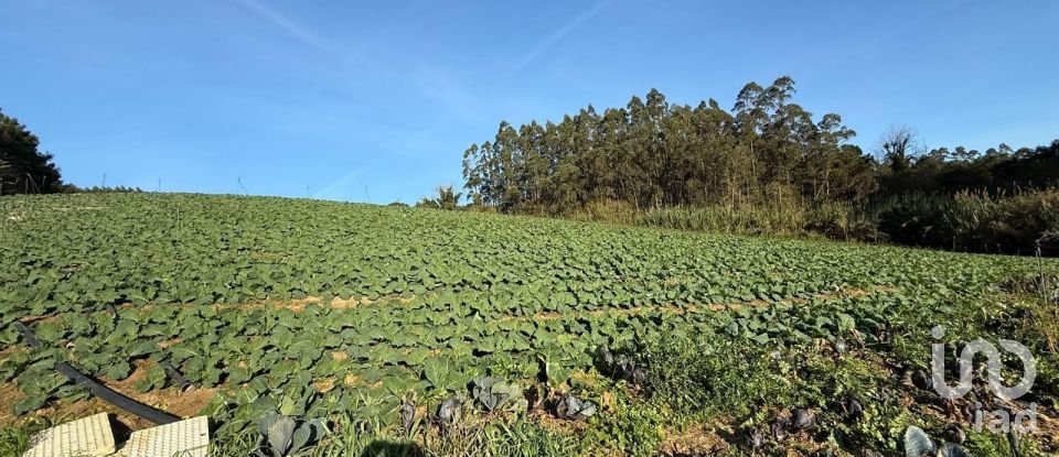 Terreno Agrícola em Atouguia da Baleia de 10 840 m²