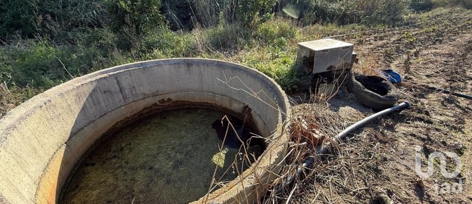 Terreno Agrícola em Atouguia da Baleia de 10 840 m²