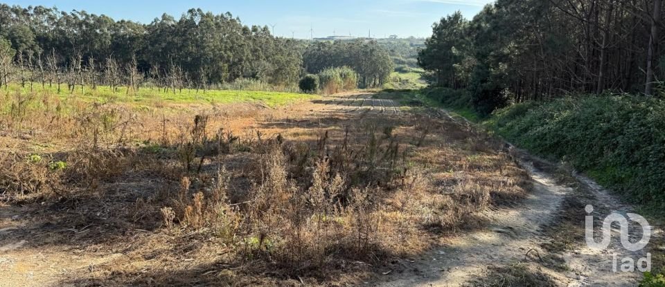 Terreno Agrícola em Atouguia da Baleia de 10 840 m²