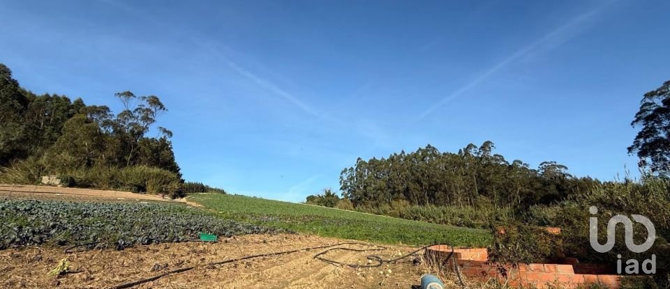 Terreno Agrícola em Atouguia da Baleia de 10 840 m²