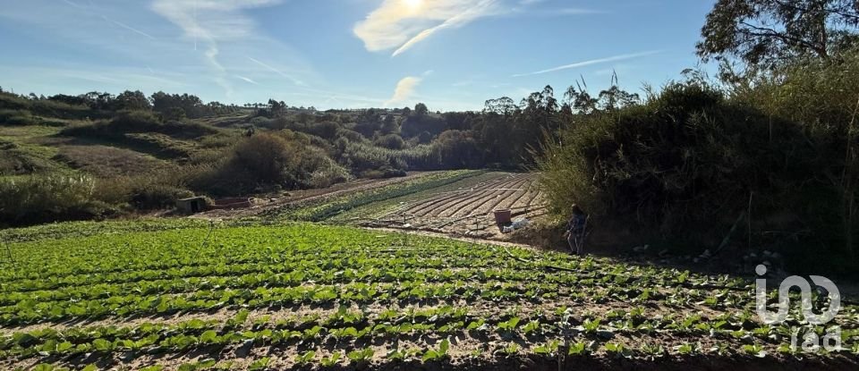 Terreno Agrícola em Atouguia da Baleia de 10 840 m²