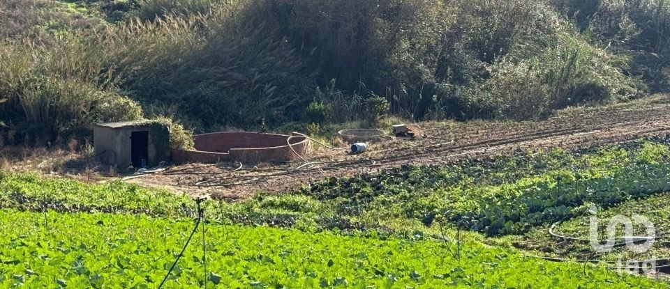 Terreno Agrícola em Atouguia da Baleia de 10 840 m²