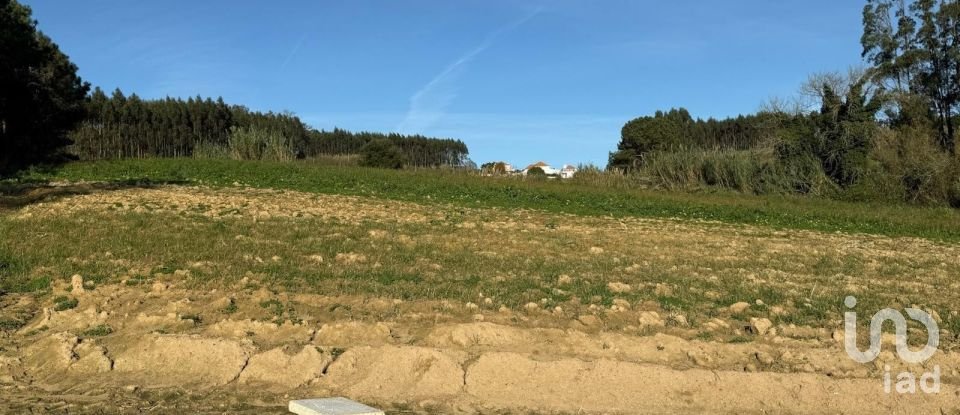 Terreno Agrícola em Atouguia da Baleia de 10 840 m²