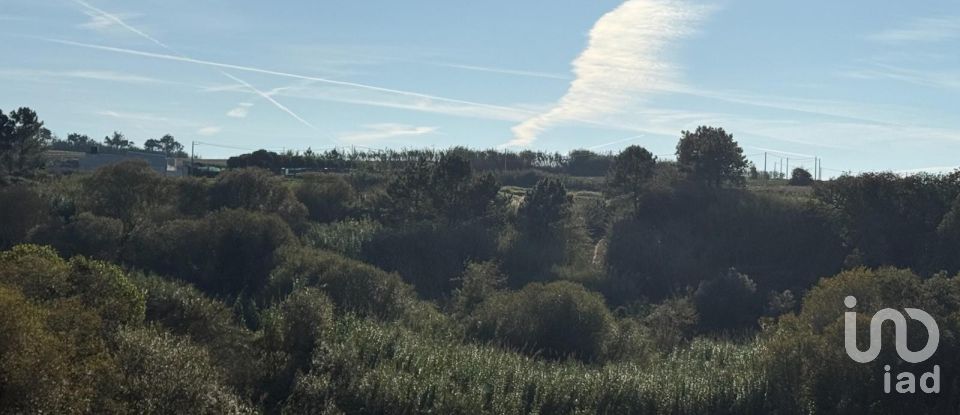 Terreno Agrícola em Atouguia da Baleia de 10 840 m²