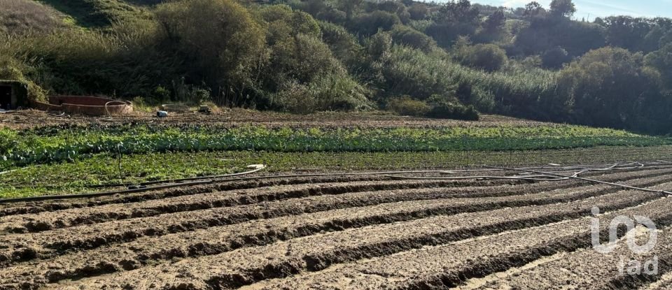 Terreno Agrícola em Atouguia da Baleia de 10 840 m²