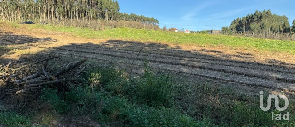 Terreno Agrícola em Atouguia da Baleia de 10 840 m²