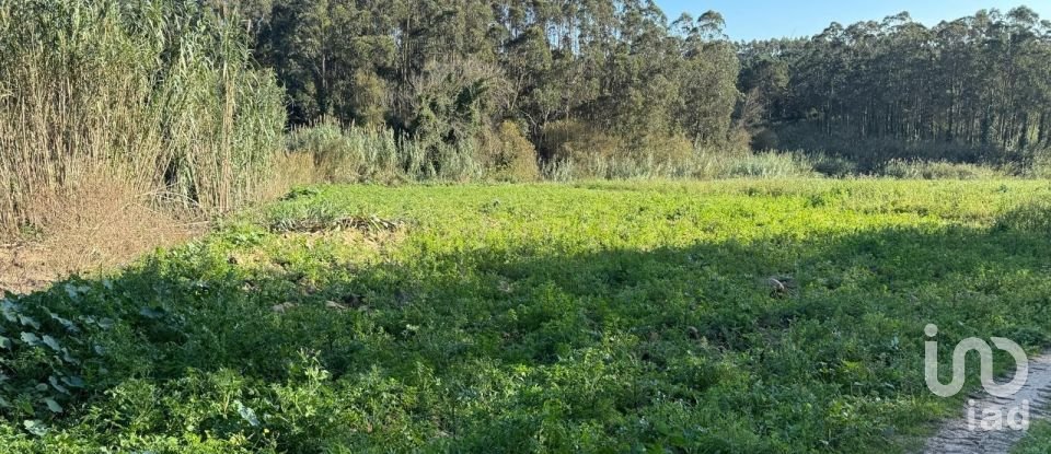 Terreno Agrícola em Atouguia da Baleia de 10 840 m²