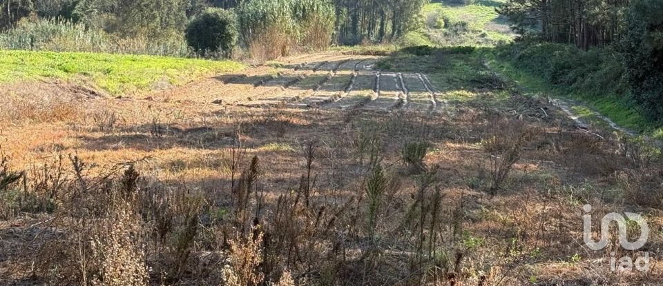 Terreno Agrícola em Atouguia da Baleia de 10 840 m²