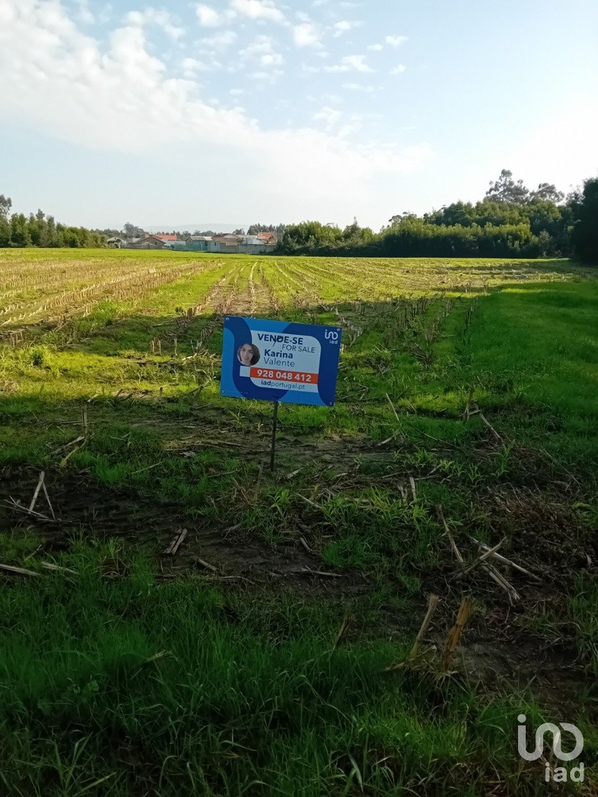 Agricultural land in Pardilhó of 1,250 m²