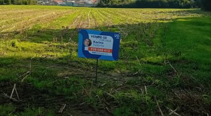 Agricultural land in Pardilhó of 1,250 m²