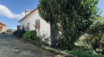 Maison T2 à Juncal de 228 m²