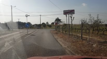 Terreno em Poceirão e Marateca de 32 250 m²