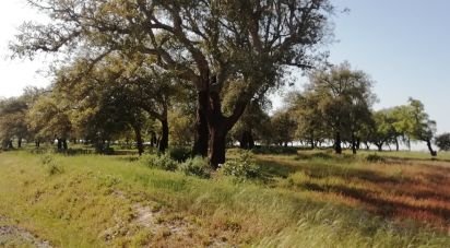 Terreno em Poceirão e Marateca de 32 250 m²