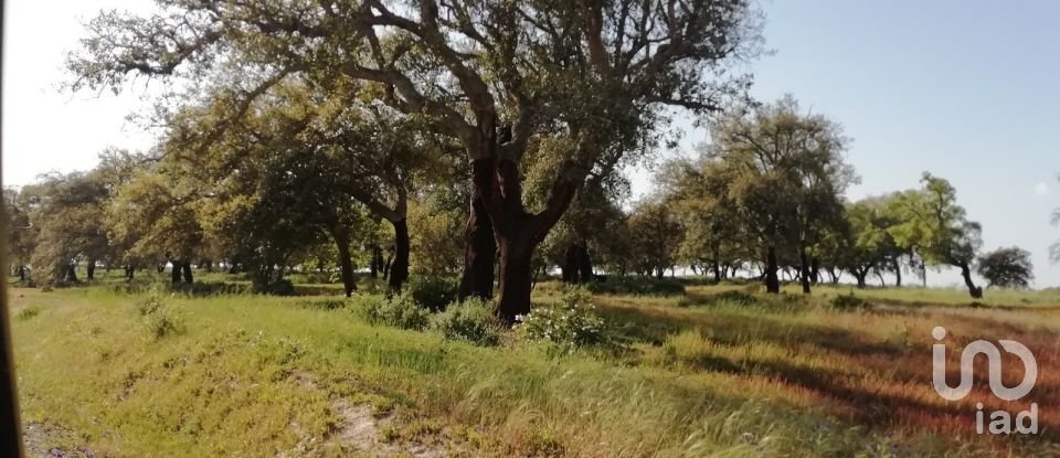 Terreno em Poceirão e Marateca de 32 250 m²