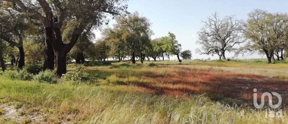 Terreno em Poceirão e Marateca de 32 250 m²