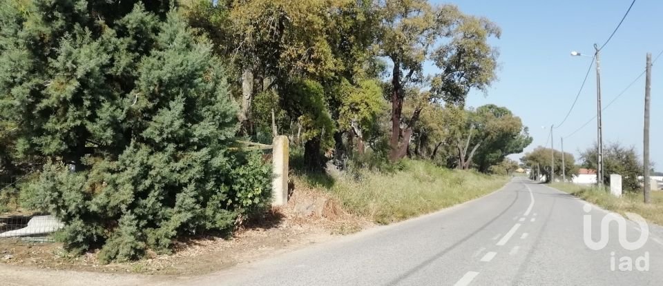 Terreno em Poceirão e Marateca de 32 250 m²