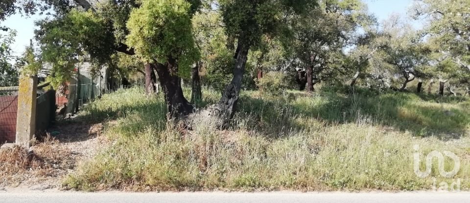 Terreno em Poceirão e Marateca de 32 250 m²